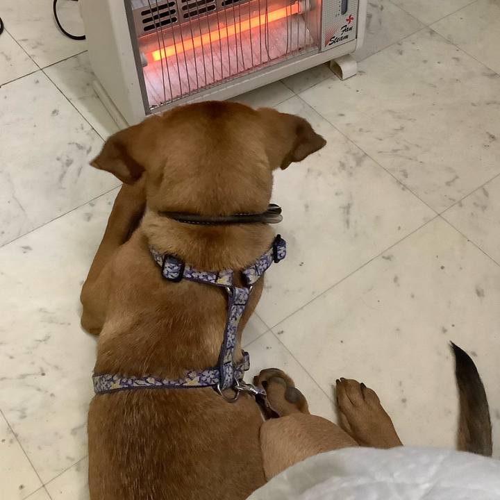 1a6d20bd 2753 4f68 a796 4ffbf5456c93 1765803100244