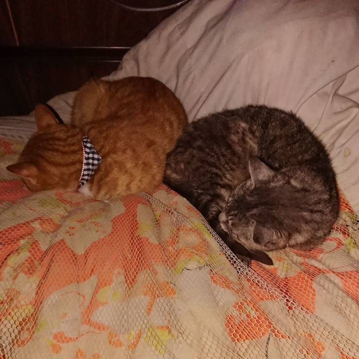 1a6d5ca9 029e 41fa a2e1 cf3046cba0d3 1568750976722