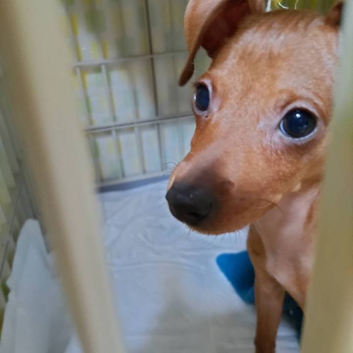 1a6d7ab9 f3c6 4122 8926 d3f7b43ec5fd 1667944323794