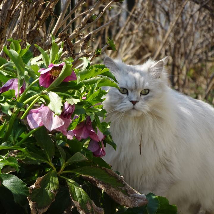 1a6d7b2b bddd 4686 881a 6af7288ff0fe 1552788465102