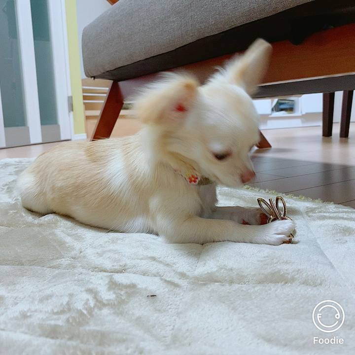 1a6dc0b8 3168 4fbf b503 8e3eaf4160b9 1605790104278