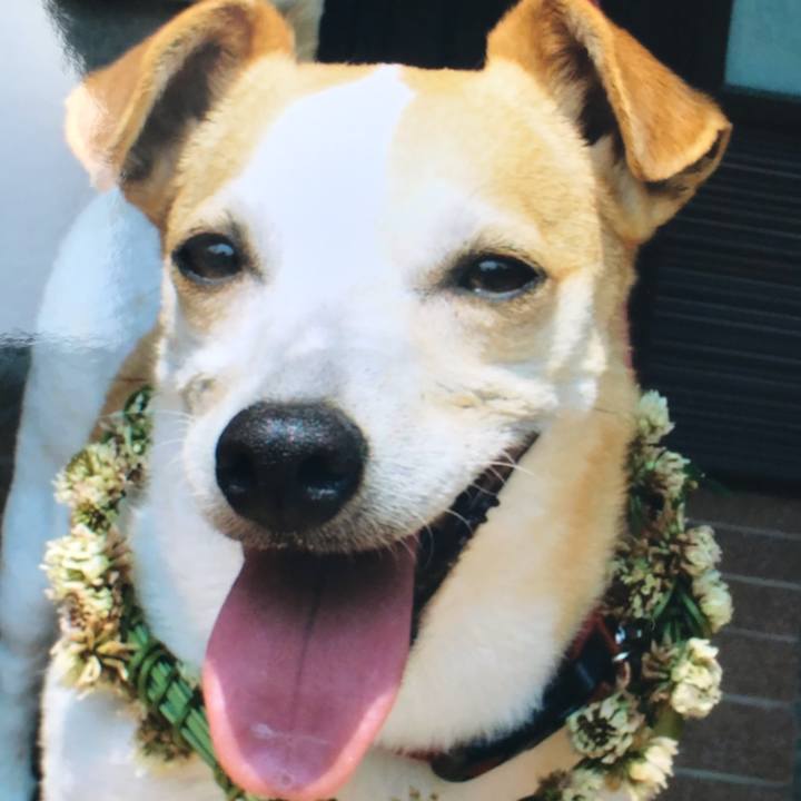 1a6dd26f 9994 409c a2c1 e28e2e65a60e 1588390970970