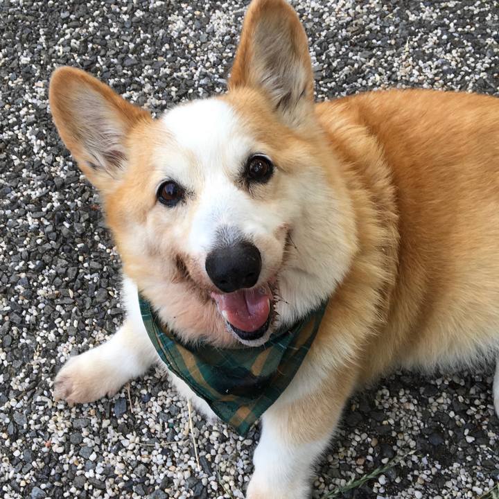 1a6dd3a5 464c 491b a94b d2b03c97b434 1559560639562