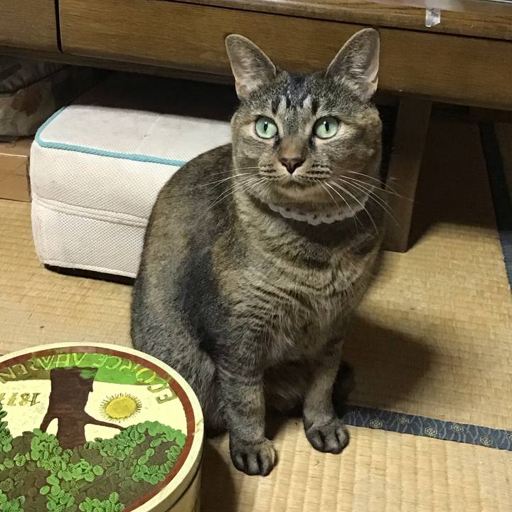 1a6e0014 7129 4ede b1f1 04953bad61a5 1724746752139