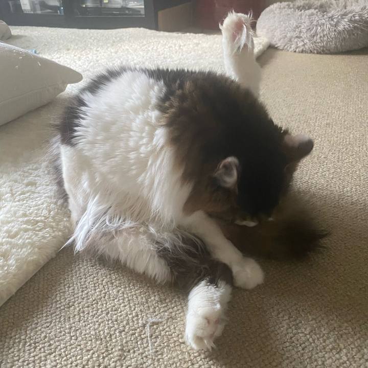 1a6e342b 7d92 4e3b bfd5 72f2b4df0b61 1674084321078