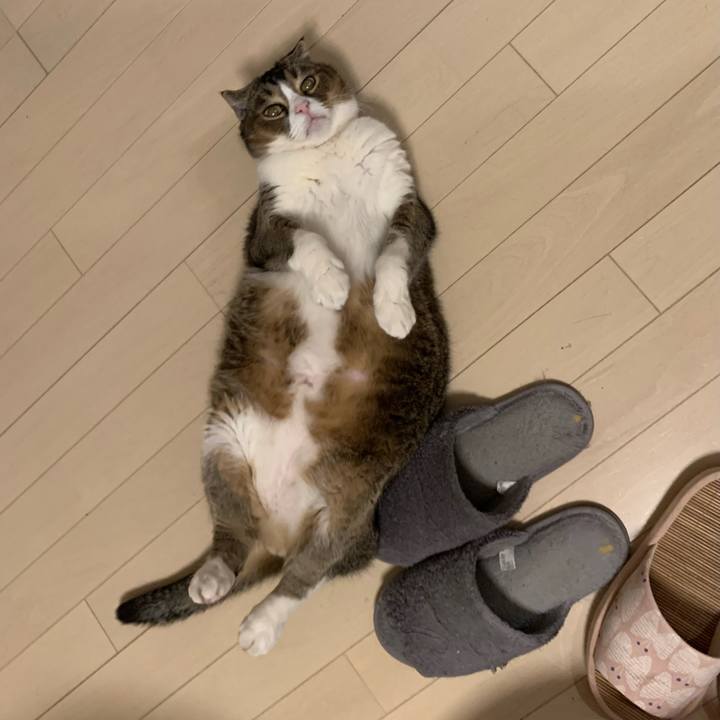 1a6e3cc8 948d 4e91 918a b3e18ab9e8b0 1748534150204