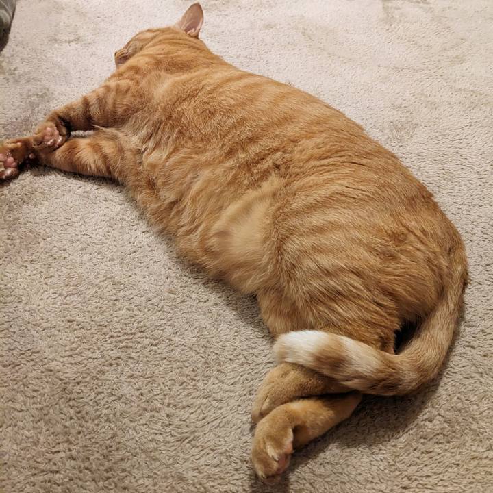 1a6e5709 8620 4e49 b16b f8da08a6b8bd 1697721925683