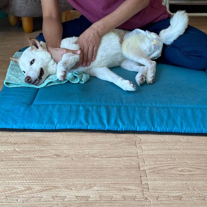 1a6e756d 1e26 4d56 bf84 adb1bd403057 1663679057635