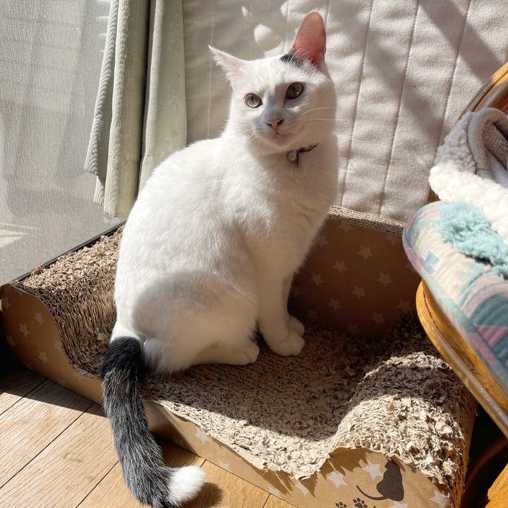 1a6e78db 6169 4573 95cb 9831bd38b3d3 1771816532831