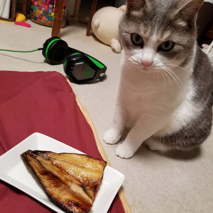 1a6eab44 de0b 496f a08f bd5c6674f890 1654096431023