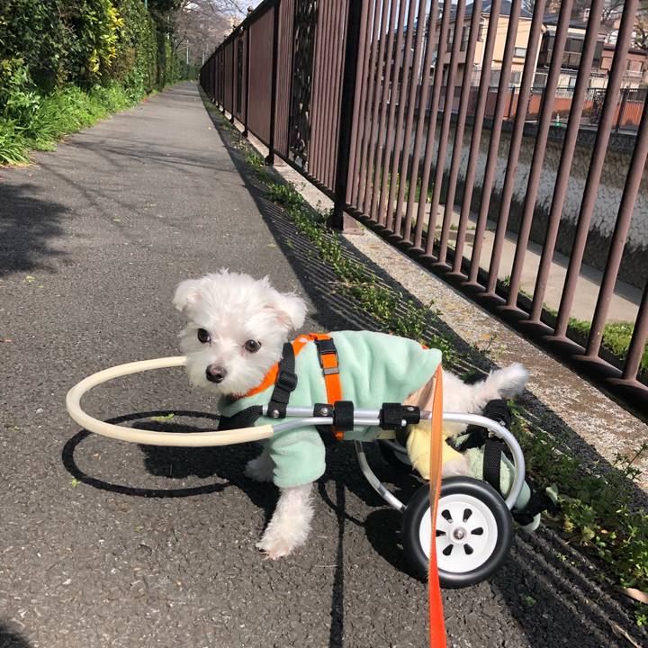 1a6eb96d 0417 4e8c 8a2f 96e5b01de962 1552396390532