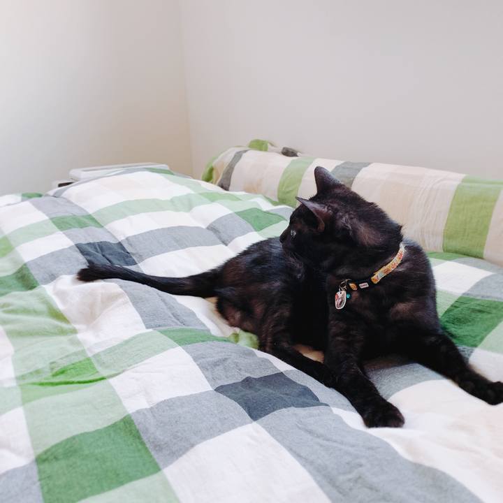 1a6ec9b9 6a73 45cb 81e5 9d3ccaafe9f8 1557719752706