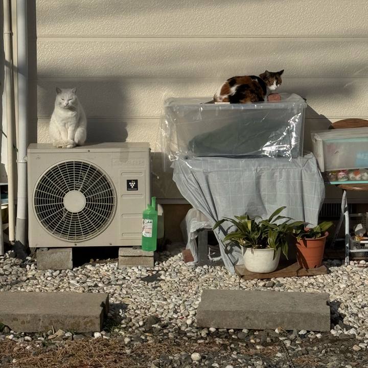 1a6ecb5f 39fd 42df 9496 ffbac46e998d 1767147312761