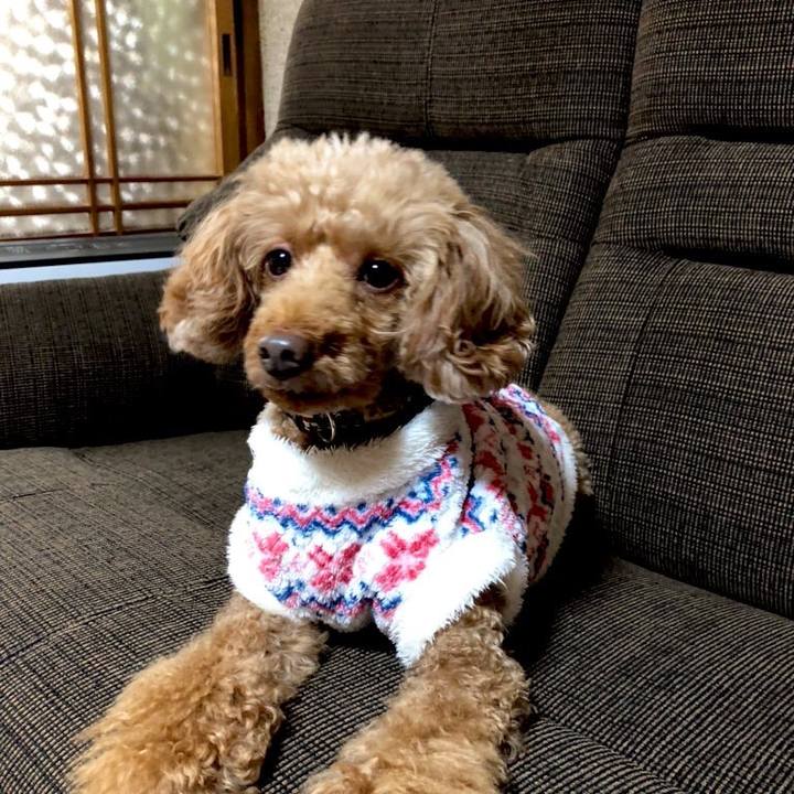 1a6f315a db7f 402a 877d 479212360766 1611115133131