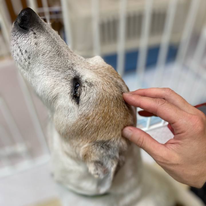 1a6f62d5 4b1a 458f 8a0a e81b2ebf40d3 1662472199243