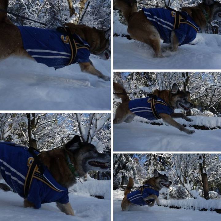 1a6f9824 f7e0 45d8 afd3 6cd6248b30e5 1516671798948