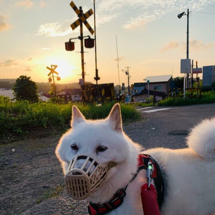 1a6fb84b 8677 4f3d bd3f 1e1b8ec389c2 1659214319899