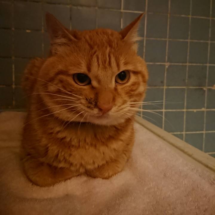 1a6fe898 4343 4ef2 b527 08f5d3f43971 1654080599941