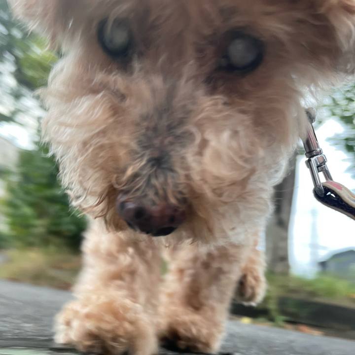 1a6ffc16 18a3 43de 83e7 2017ce2365ae 1757772360591