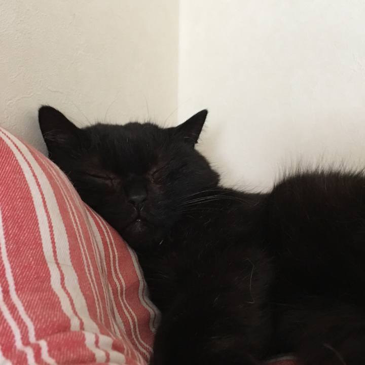 1a705259 6529 4916 8671 c46fc6dc208b 1556770375658