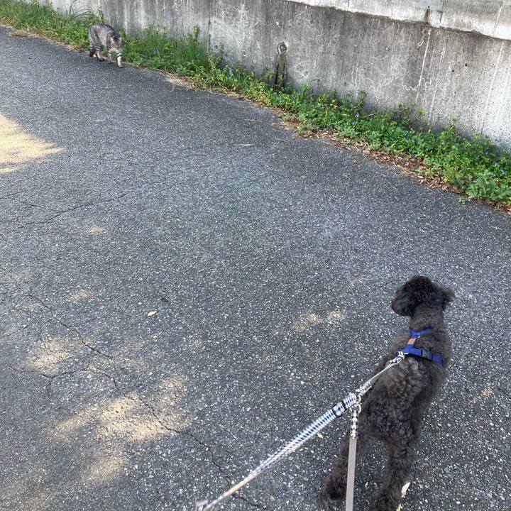 1a706192 87ca 45ae 8c86 f97b186fcac2 1634853945492