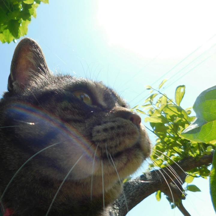 1a70a53d adda 4b8f 8029 e8cacd5cfc9c 1558788069379