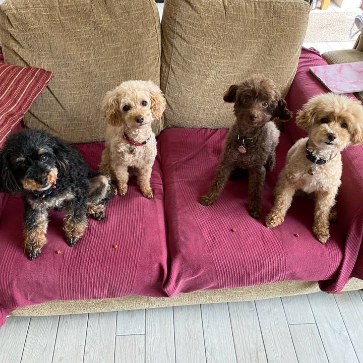 1a7139cb a935 419b 8517 e582b159da11 1659257841663