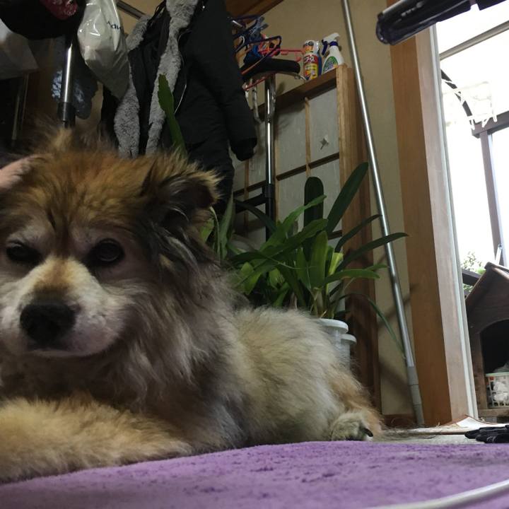 1a714489 005c 4a05 b7b4 450ef8d358b3 1577083041129