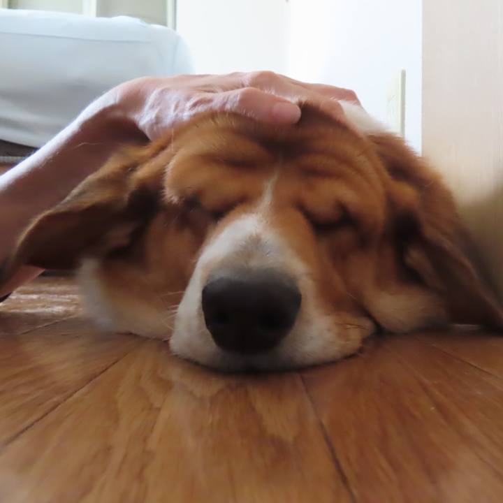 1a715049 88bf 4845 9597 d4503043c441 1694051015255