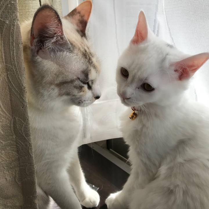 1a715c4f b178 4788 971d 0a9895258e0f 1511073178156