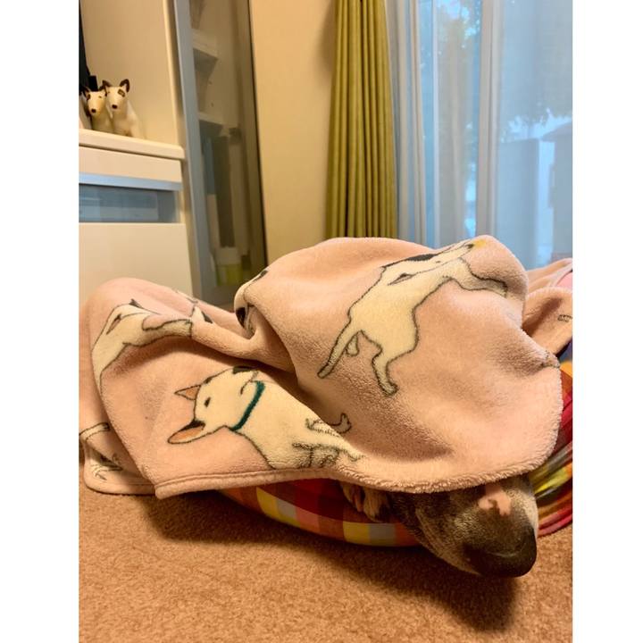 1a718afb a08a 457b 842a c8c5adf3c8e7 1603443176231