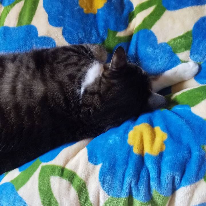 1a71fc44 4bdf 4a30 9607 abba7d256e29 1666484136603