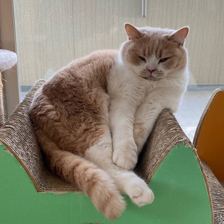 1a72239c f9de 4271 92bc e6751cdca4ad 1605744238546