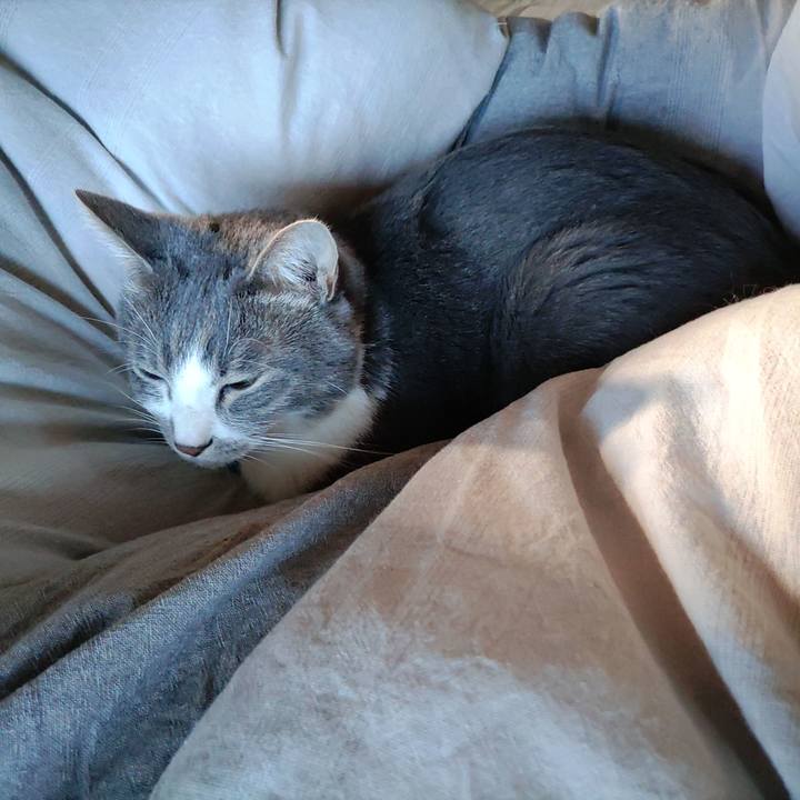 1a72421a fba0 4ec4 b5f0 a41c27ecfd32 1666831165371