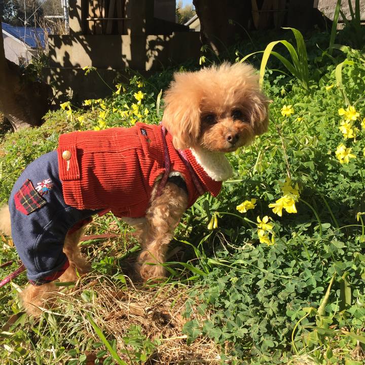 1a7263b0 c721 4a1f a67f 3b078aa51b8a 1515737971306