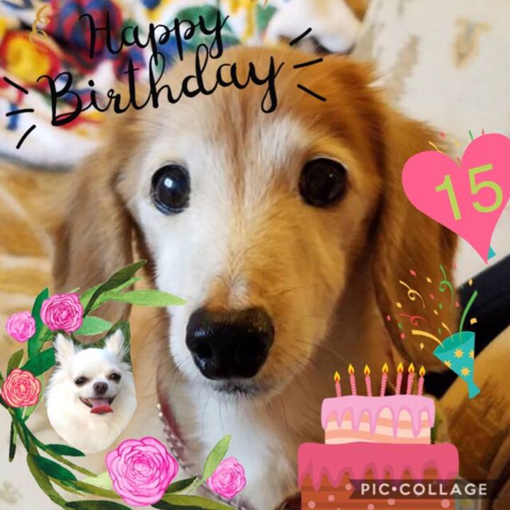 1a72703a 3e1e 4669 a806 95f5c1e15b35 1533576739688