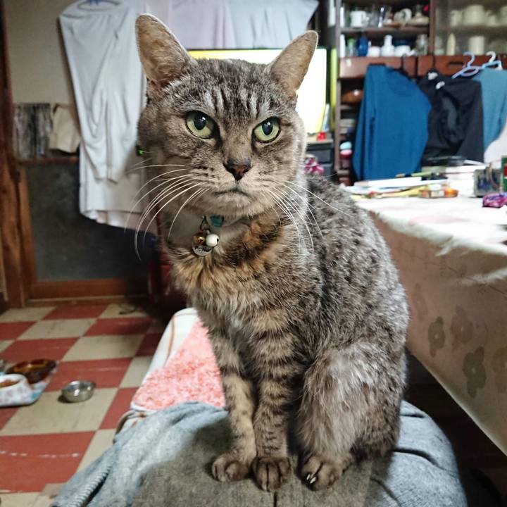 1a728f8b 083e 4b4a bbed 3a5a66ba5f9a 1607807535994