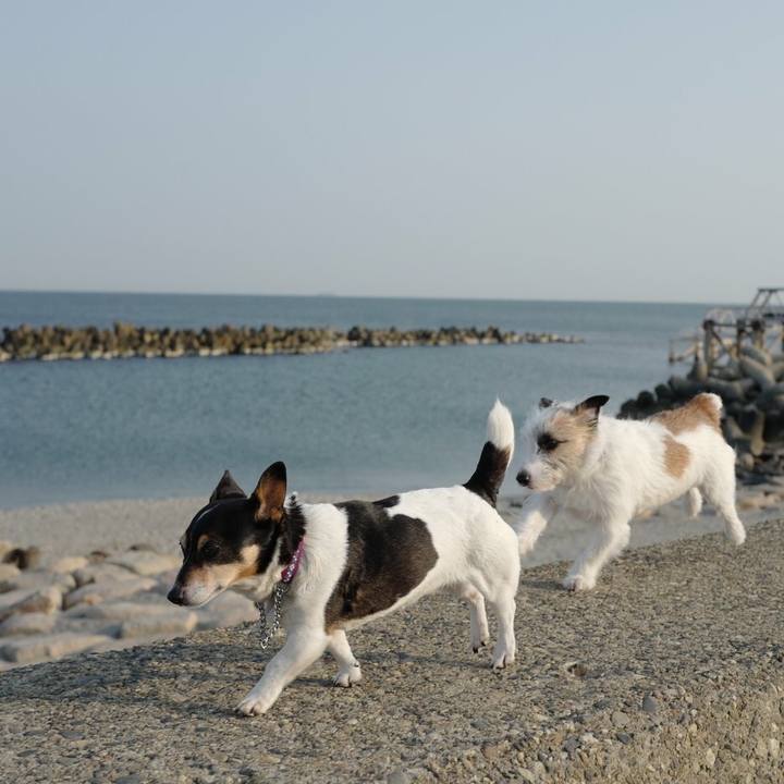 1a72d683 2dff 4f7c 89aa 8366e93002d6 1521000010482