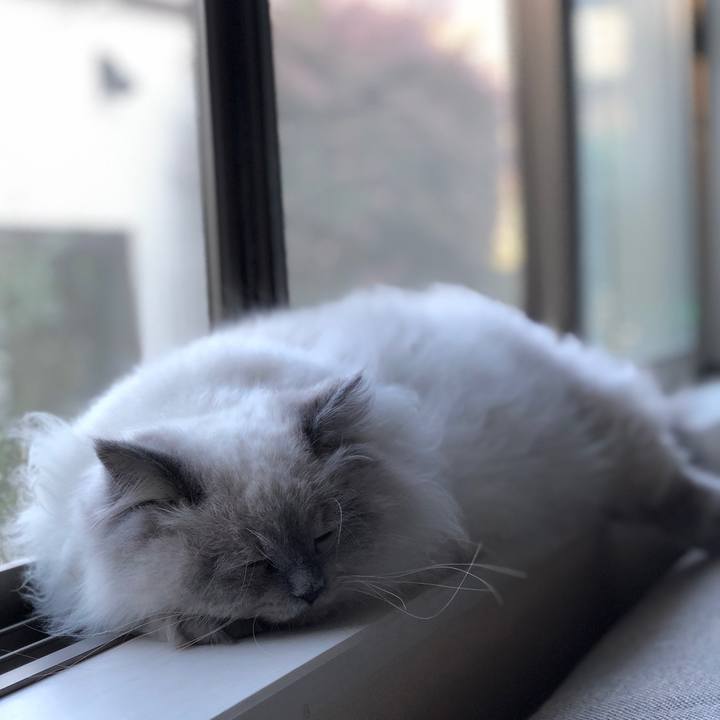 1a72f462 b396 400a 9695 2f77223e6393 1529420935589