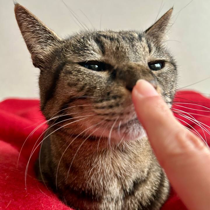 1a7309c1 a9f0 4754 a991 49dafd41d54b 1767396155214