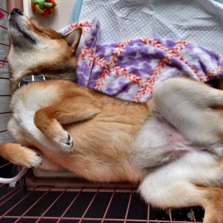 1a737044 4b5c 4204 a4af d0a2fe9c306f 1523086039165