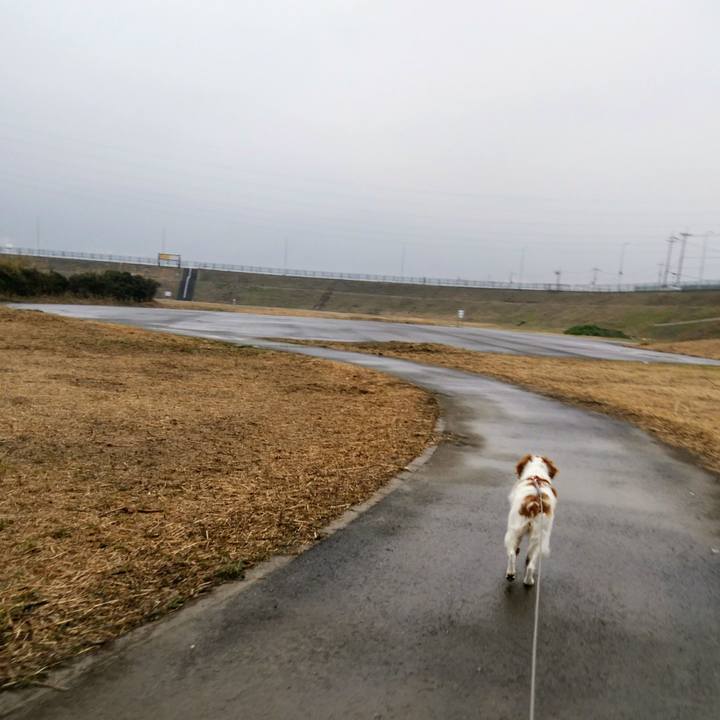 1a73a358 705c 4e3a b40d 6d4b8bbc01fa 1550620076251