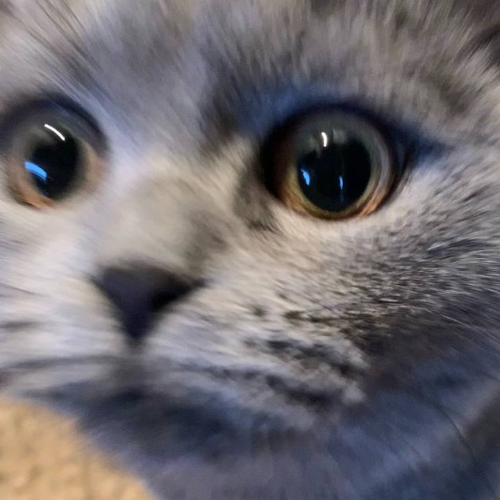 1a73c40b c032 41c3 b5d9 6d4d27261960 1675298860108