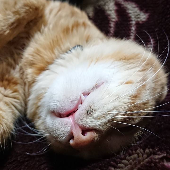 1a73c885 9f18 4897 b73d f29426e224dc 1638102844753