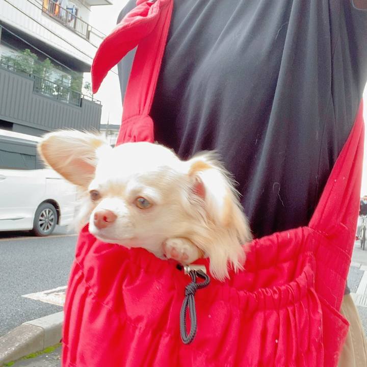 1a73e4ff 1279 4a52 941a fb91d8333ee3 1627889942749