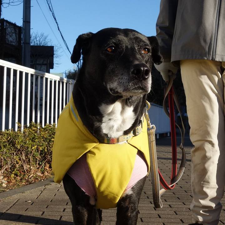 1a742898 3f3f 409d 9b63 b54781ba208d 1739058553726