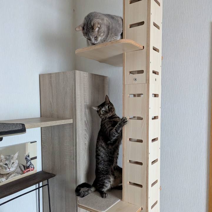 1a748e9e 3fca 4976 9e52 ebee7b180d5b 1762406173567