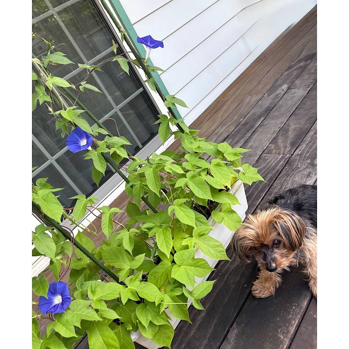 1a74c01d 2517 4fe6 80b8 4150485f65e6 1752189575348