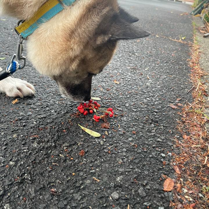 1a75522c d42c 4970 a32f e57e8406baca 1669721367638