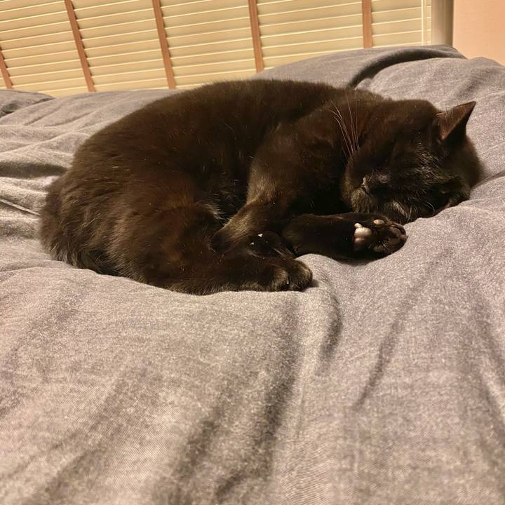 1a756a7d 837f 49c1 bfed 9be874a29a96 1699277450498